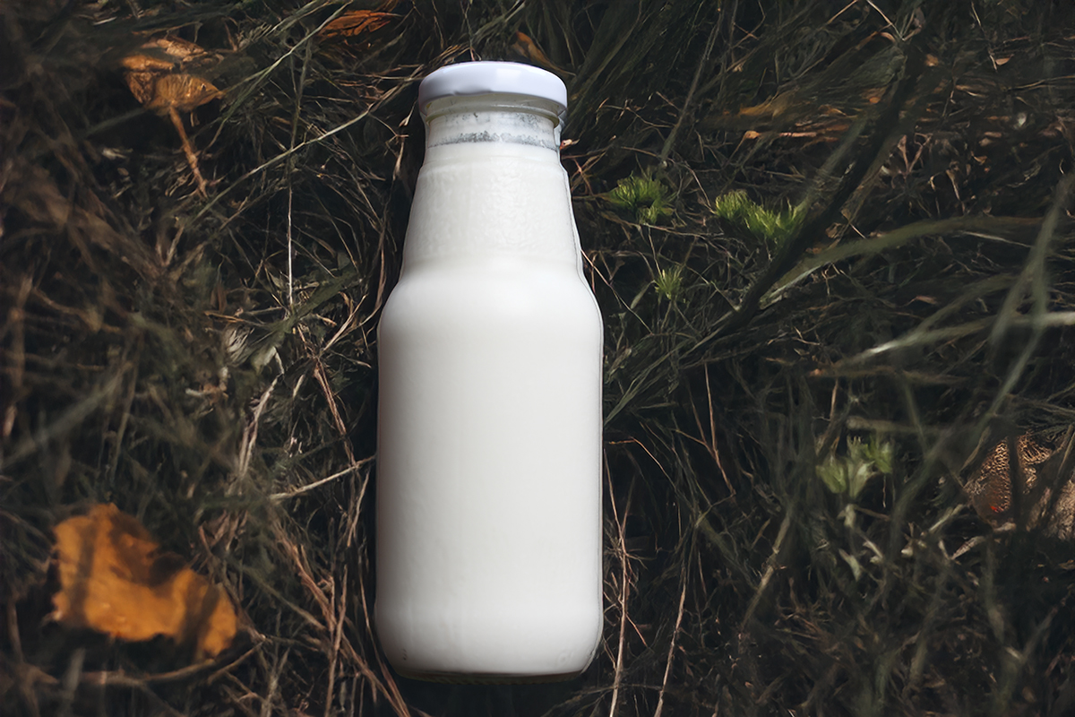 Botella de kéfir de leche artesanal MicroVida